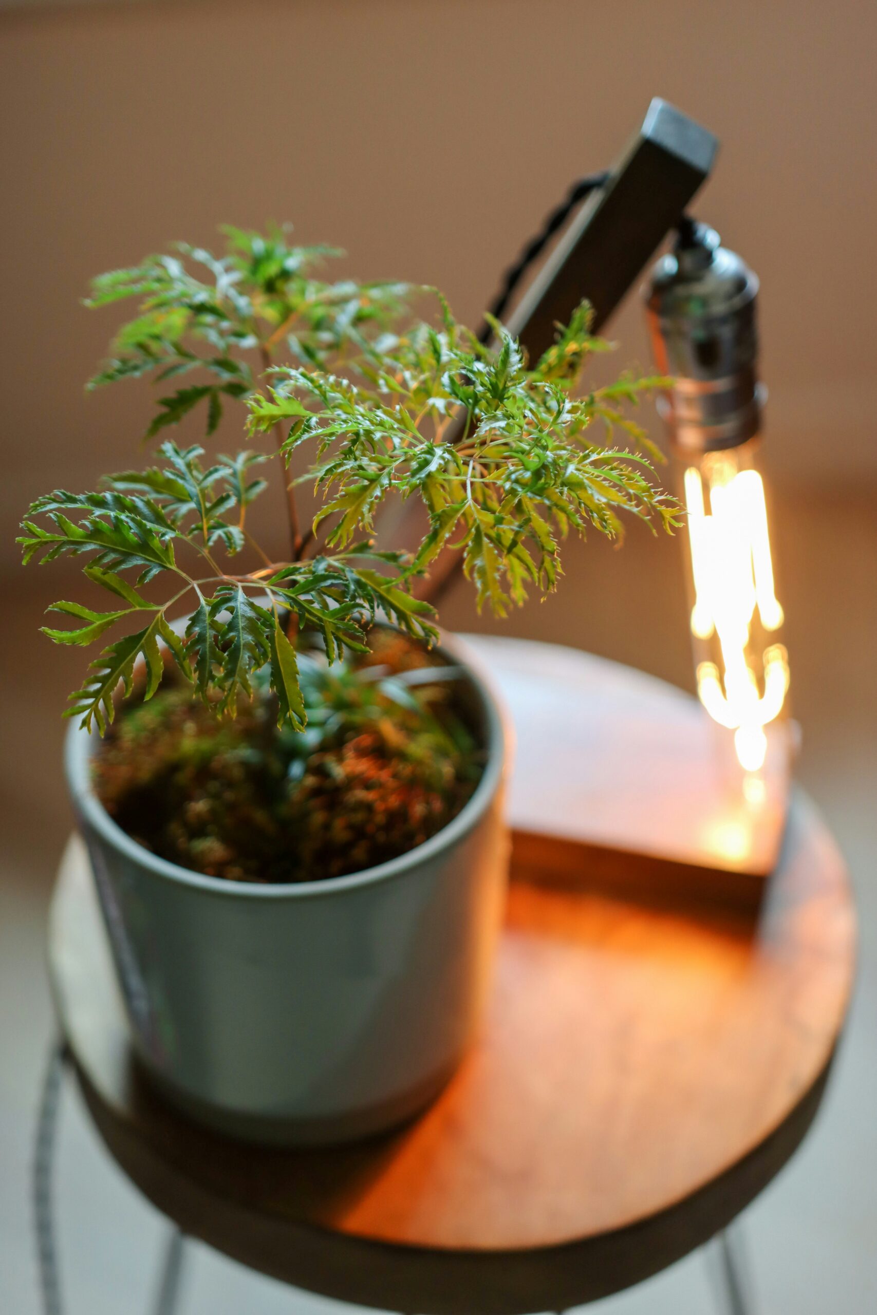 henry-lai-6RPbAkLmX3M-unsplash